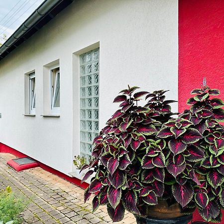 ☆Gemuetliche 1-Zimmerwohnung Mit Terrasse☆ Rielingshausen Exterior photo